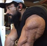 2017-olympia-roelly-winklaar-arms.jpeg