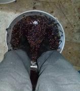 20180905_201654.jpg