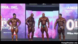 34c415530fb34523836343f12481ec46-small.gif