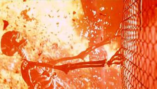 ТЕРМИ ВЗРЫВ.jpeg