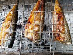 IMG_20190907_122454.jpg