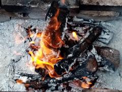IMG_20190907_120915.jpg