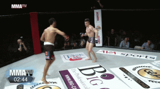 BigheartedImpishJuliabutterfly-size_restricted.gif