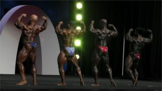 9bdd347154644abe8fddd1059b7caac4-small.jpg