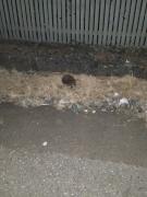 IMG_20200930_204734.jpg