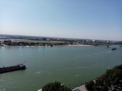 IMG_20200917_110815.jpg