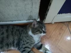 IMG_20200919_170904.jpg