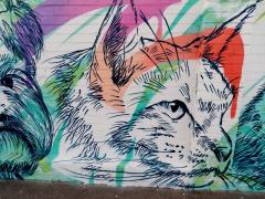 IMG_20200903_180800.jpg