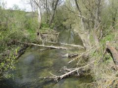 IMG_3589.JPG
