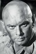 8f1789f42059c40e2c8ef740352c2173--yul-brynner-yule.jpg