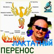 305198942_2741165866015718_7107984293740403712_n.jpg