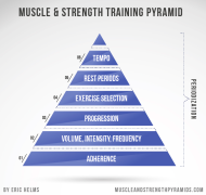 Muscle+and+Strength+Training+Pyramind.png