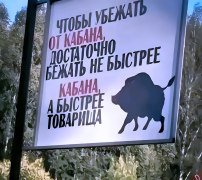 1725965740224557051.png