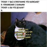 Capture.JPG