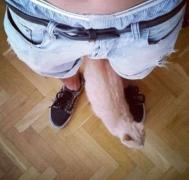 кот-показалось-nsfw-cats-8590933.jpeg