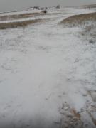 IMG_6302.jpeg