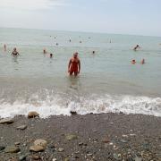 IMG_20240909_114116_001.jpg
