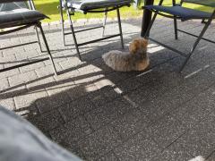 IMG_20250914_163538.jpg