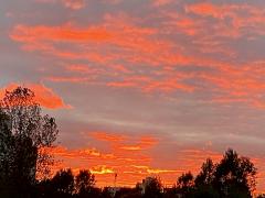 EDEE123B-978C-4E64-A14B-649D62C84695.jpeg