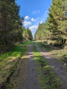 PXL_20250830_055453396.jpg