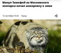 xCE3uCbIA76S6XT9EKLOep8Iwc-MxxduFIy4_pKQ58fuQ0hY678FHmoHb9RQ_OB4-KDk2ecK65oLyWWc5vrpDPhF.jpg