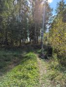 PXL_20250907_073601454.jpg