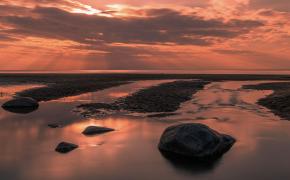 IMG_7751.jpeg