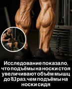 Исследование показало, что подъёмы на носки стоя увеличивают объём мышц до 15,3 раз, чем подъёмы (1).jpg