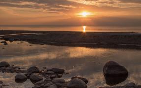 IMG_7758.jpeg
