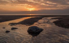 IMG_7760.jpeg