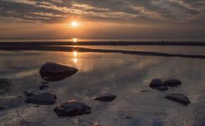 IMG_7754.jpeg