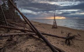 IMG_7763.jpeg