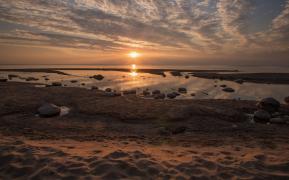 IMG_7756.jpeg