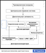 Снимок экрана 2025-09-03 в 21.06.12.png