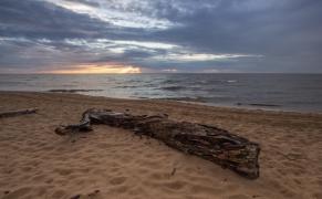 IMG_7765.jpeg