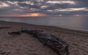 IMG_7766.jpeg