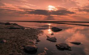 IMG_7752.jpeg