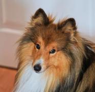 IMG_20250115_135744.jpg