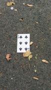 IMG_20250930_075954~2.jpg