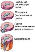IMG_2969.jpeg