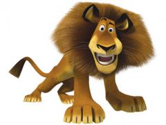 madagascar_alex.jpg
