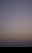 CRW_8729.jpg