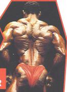 4101d1152492243_1993_arnold_93asc02.jpg