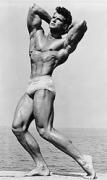 SteveReeves125_Fav.jpg