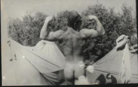 gallery_1800_135_2465.jpg