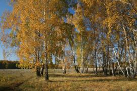 IMG_3443.JPG