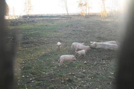 IMG_3497.JPG