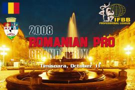 2008romania_header.jpg