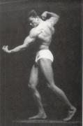 arnold168ex9.jpg