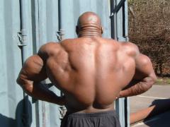 trevourbackcopydo5.jpg